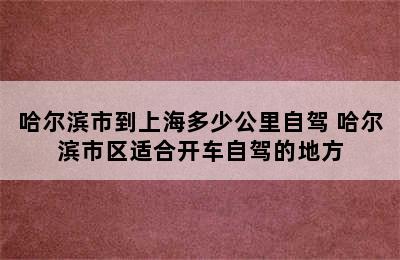 哈尔滨市到上海多少公里自驾 哈尔滨市区适合开车自驾的地方